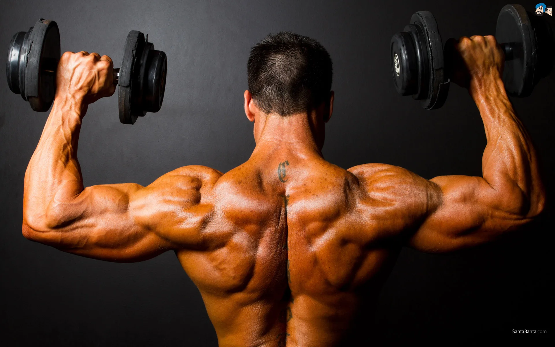 O que é performance atlética? O que isso tem a ver com meu suplemento?