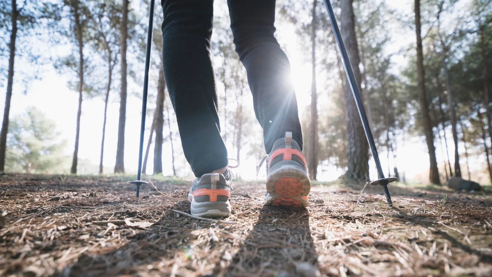 Saiba quantas calorias você perde com 1h de caminhada por dia