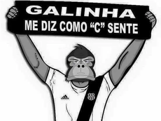 Ponte Preta vence Guarani em jogo de cinco gols; confira os memes