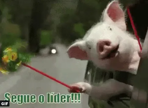 Palmeiras vence o Botafogo e torcida vai à loucura com invencibilidade no Brasileirão; veja os memes