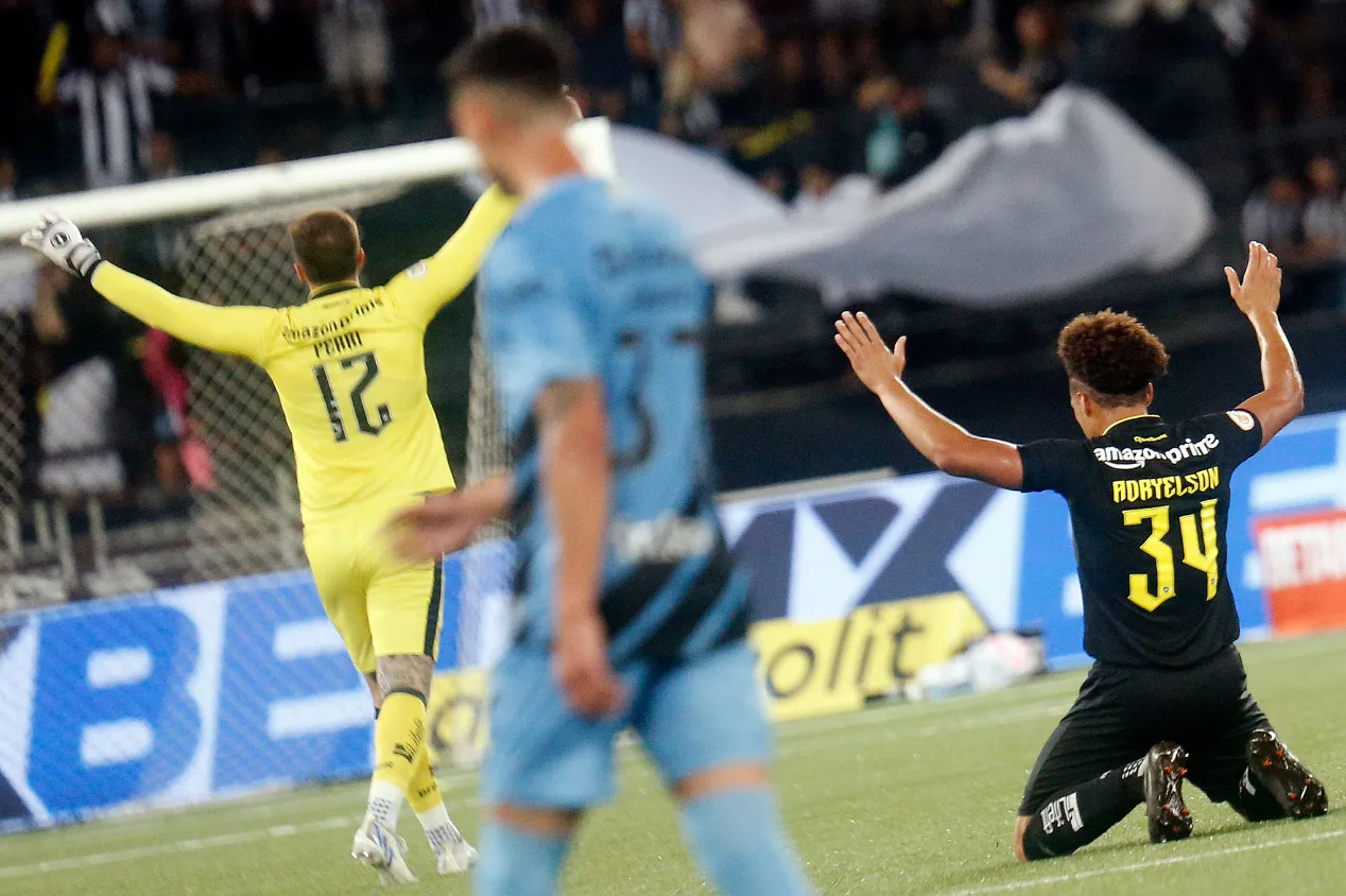 Botafogo pode alcançar sua melhor campanha na história do Brasileirão Série A