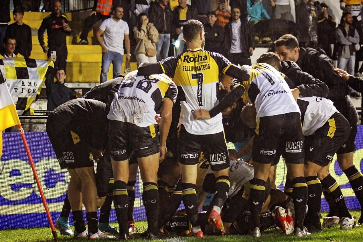 Criciúma x Sampaio Corrêa: onde assistir ao jogo do Brasileirão Série B