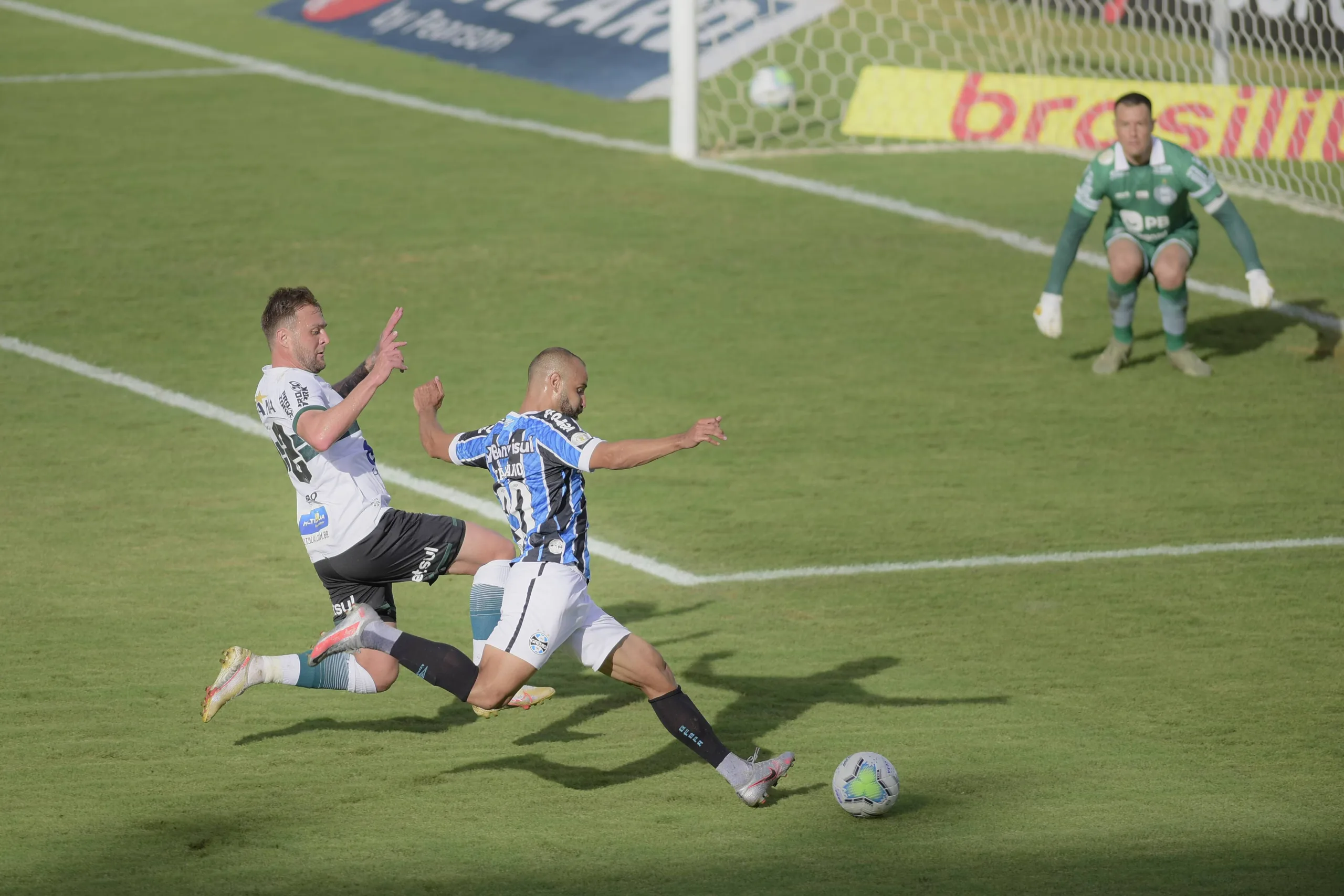 Palpite Coritiba x Grêmio  – Campeonato Brasileiro – 01/11/2023