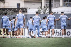 Veja a combinação de resultados ideal para o Santos se livrar da zona de rebaixamento na rodada