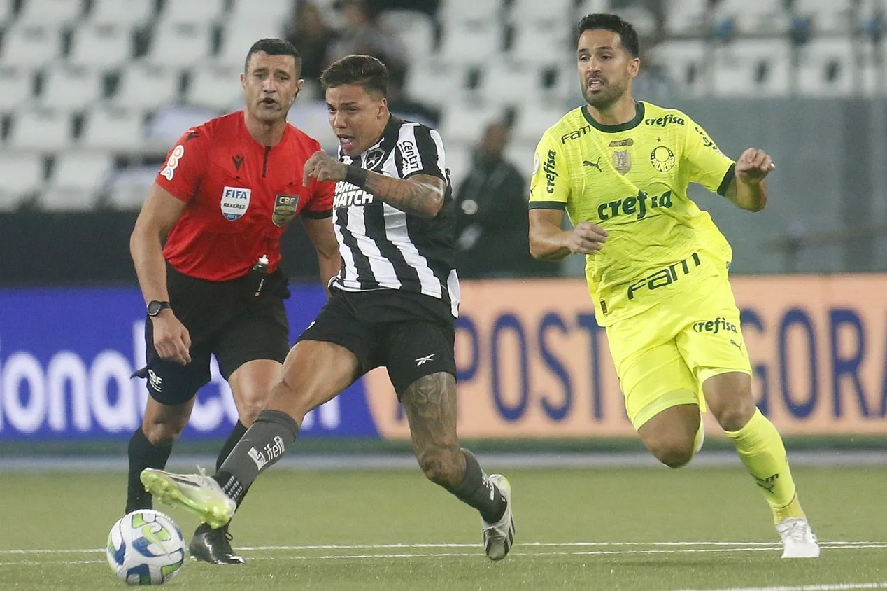 Botafogo x Palmeiras: áudio de expulsão polêmica é divulgado