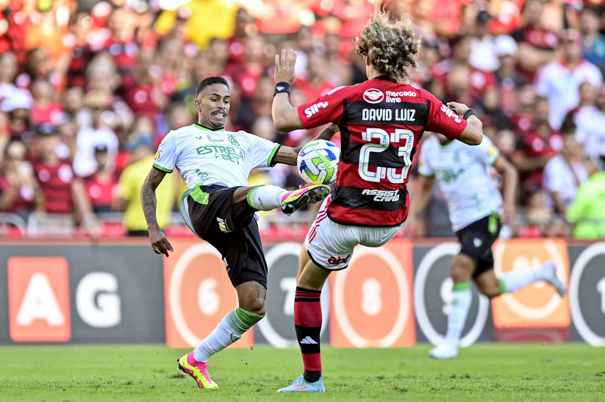 América-MG x Flamengo: detalhes sobre o jogo de hoje no Brasileirão Série A