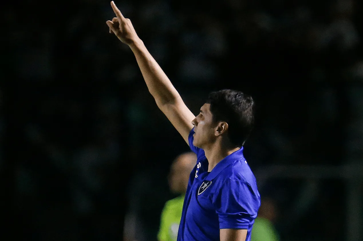 André Rizek aborda a queda do Botafogo no Brasileirão; veja os números