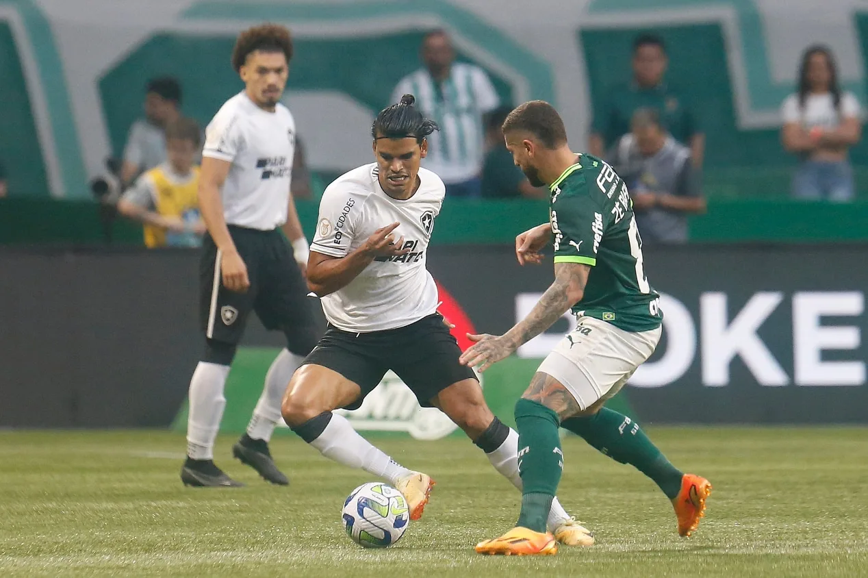 Botafogo x Palmeiras: veja um comparativo entre os times no Brasileirão