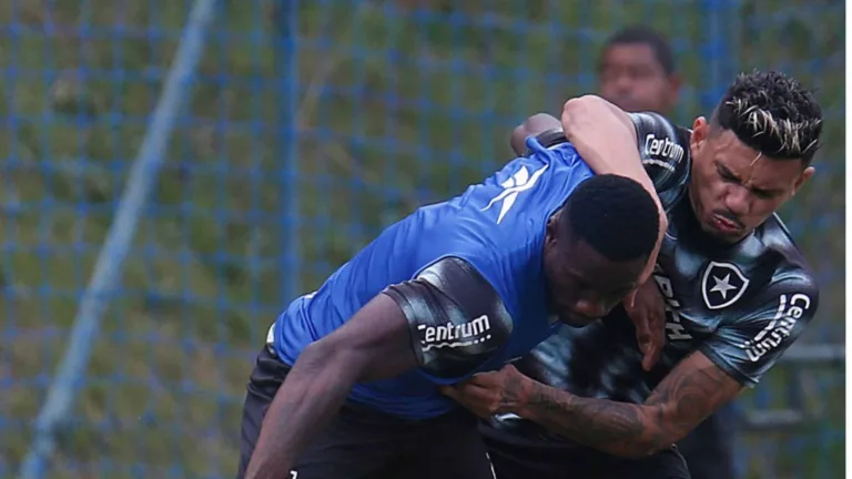 Botafogo tem segundo turno irreconhecível no Brasileirão; veja a queda