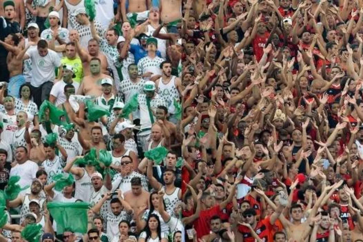 Jornal espanhol coloca canto de torcidas de Palmeiras e Flamengo entre melhores do mundo; veja lista