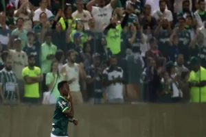 Endrick fala sobre golaço de cobertura em jogo do Palmeiras no Brasileirão Série A 