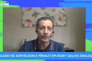Botafogo x Palmeiras: Sálvio Spínola diz que não foi pênalti em Tiquinho Soares
