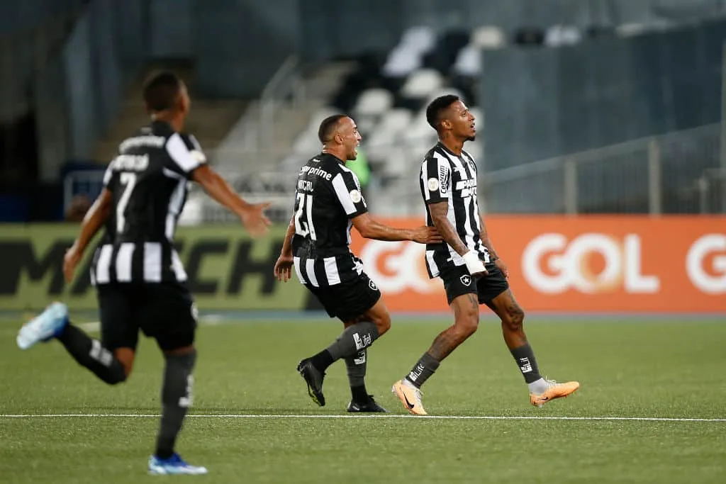 Botafogo atropela o Palmeiras e anota mais dois gols no Nilton Santos; veja