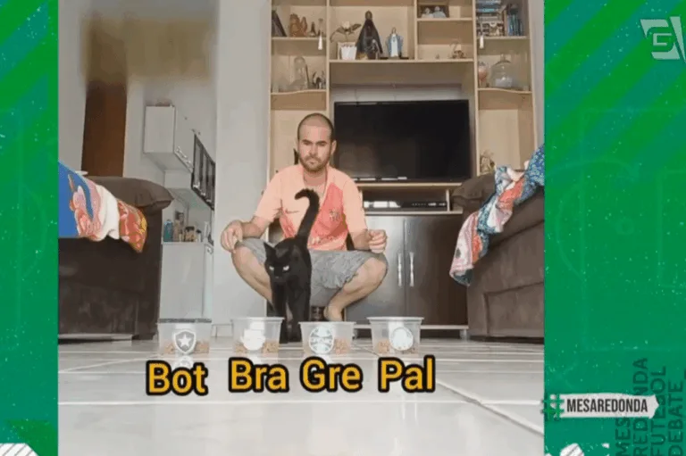 Milu, o gato vidente, ‘profetiza’ Red Bull Bragantino campeão do Brasileirão; veja