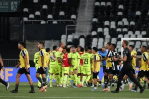 Palmeiras mais que duplica chances de título do Brasileirão; veja estatísticas