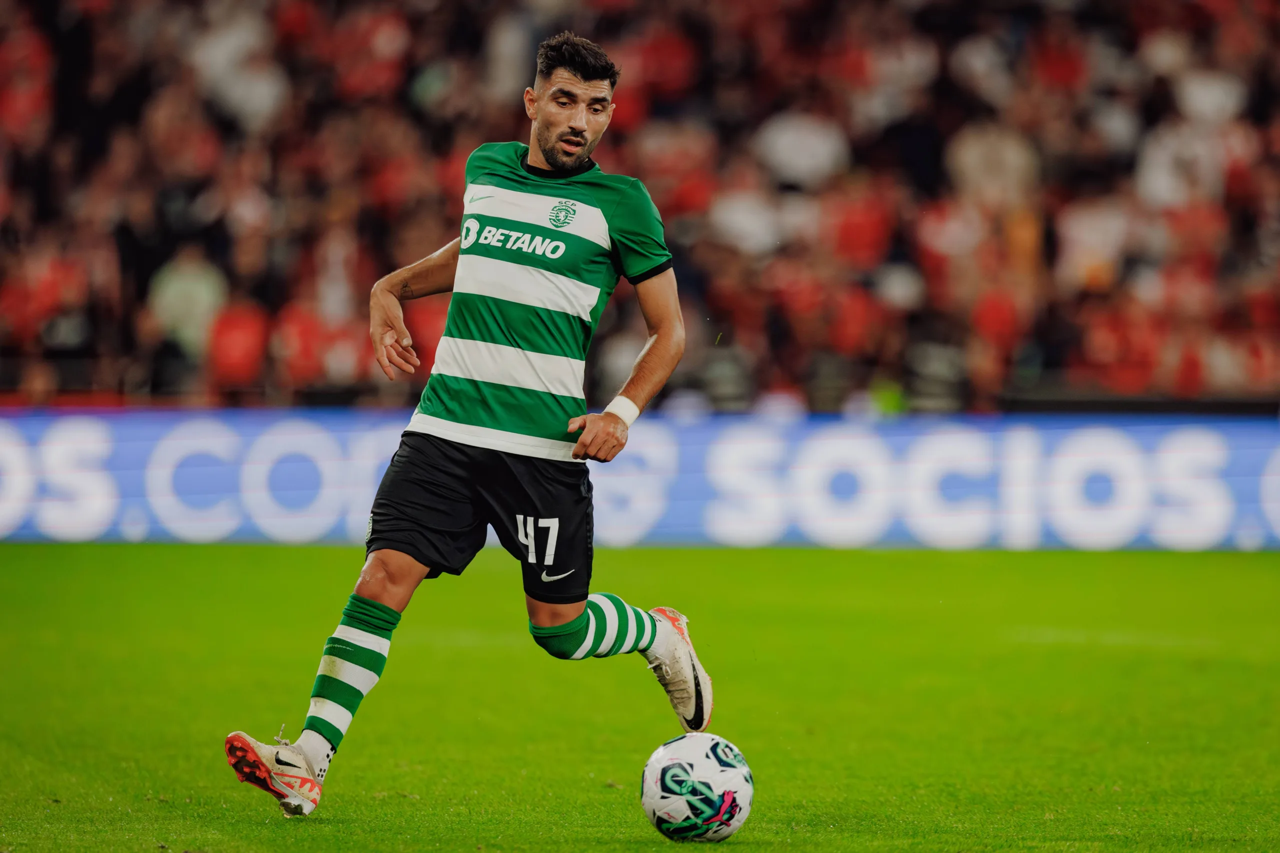 Palpite Sporting x Gil Vicente – Campeonato Português – 04/12/2023