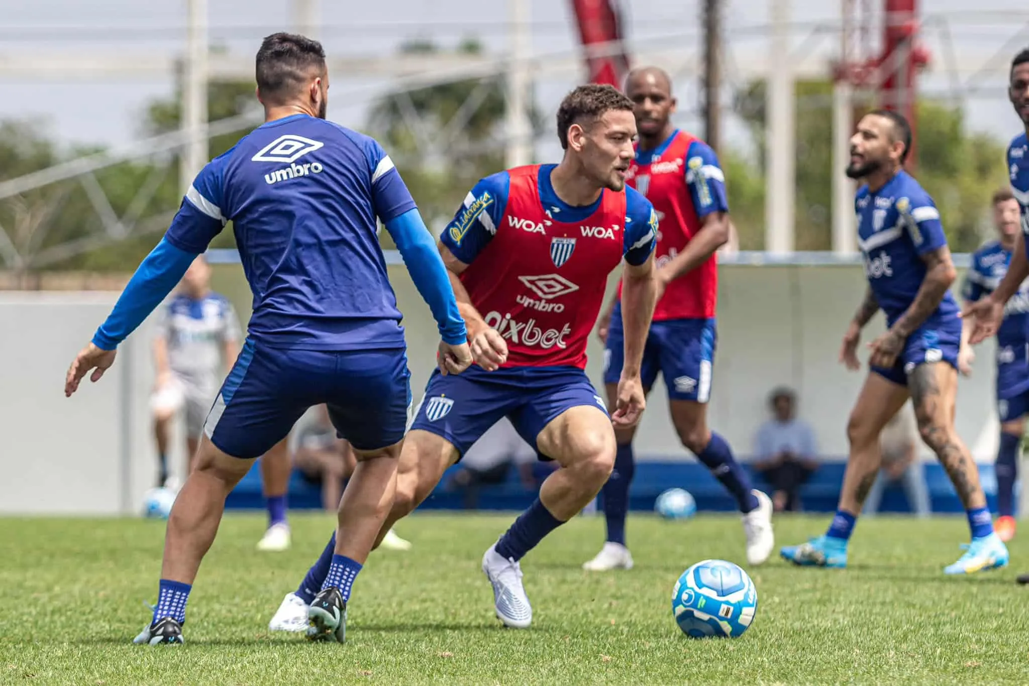 Sampaio Corrêa x Avaí: onde assistir ao jogo do Brasileirão Série B