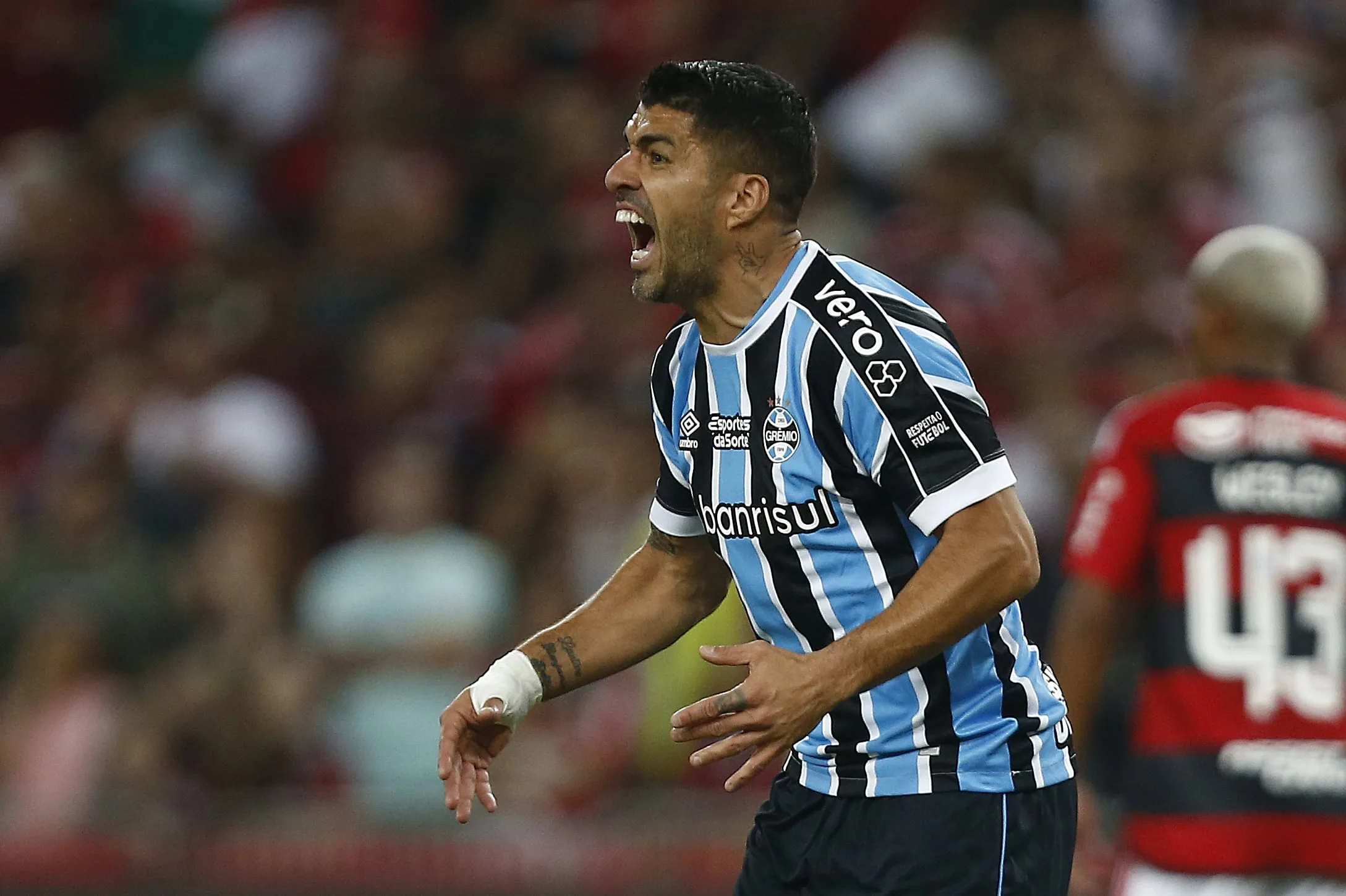 Grêmio hoje pode encostar no Botafogo e no Palmeiras na tabela do Brasileirão