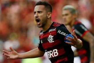 Flamengo e Everton Ribeiro