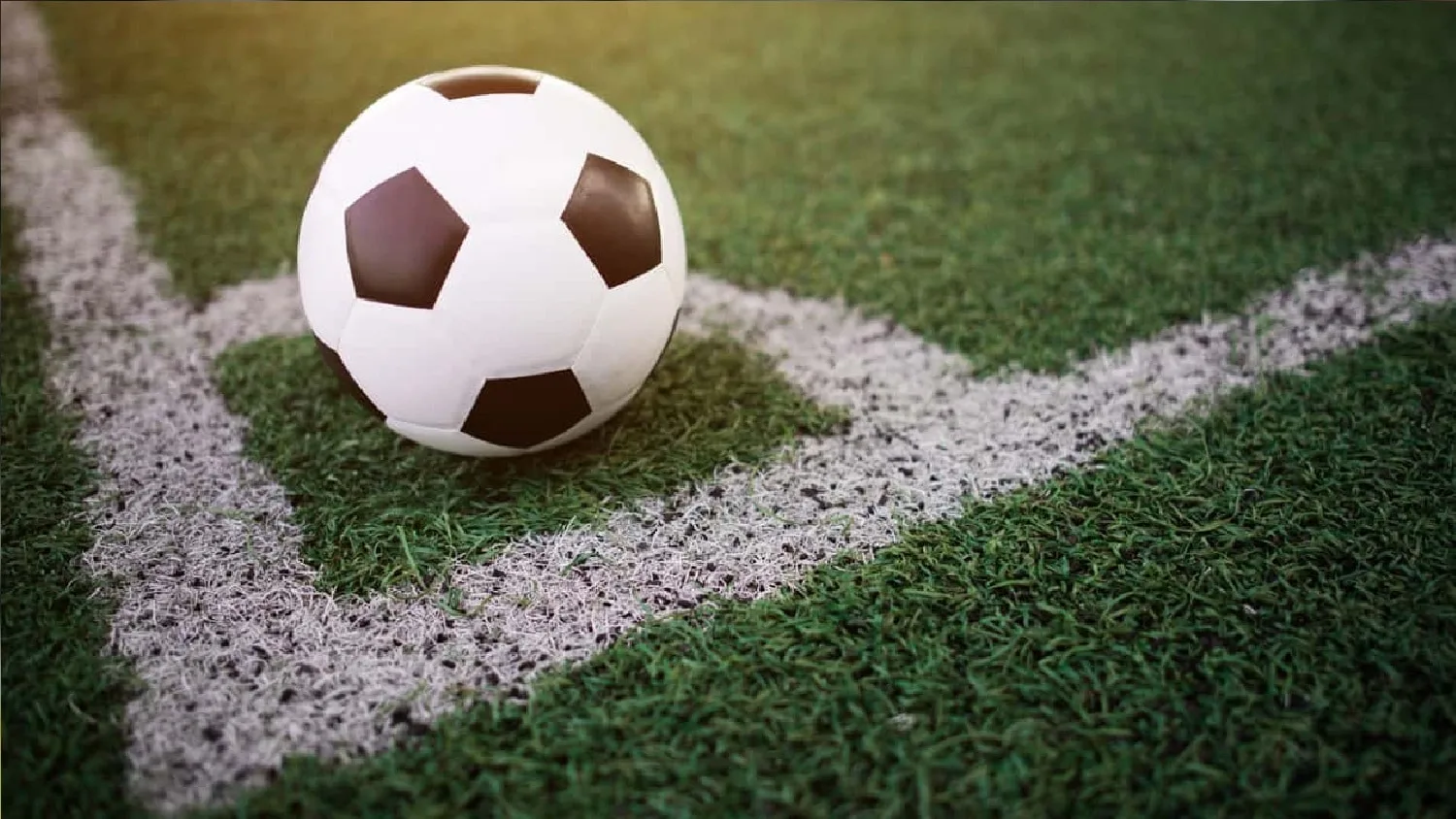 Sem Brasileirão, veja 4 campeonatos para acompanhar ainda em 2023