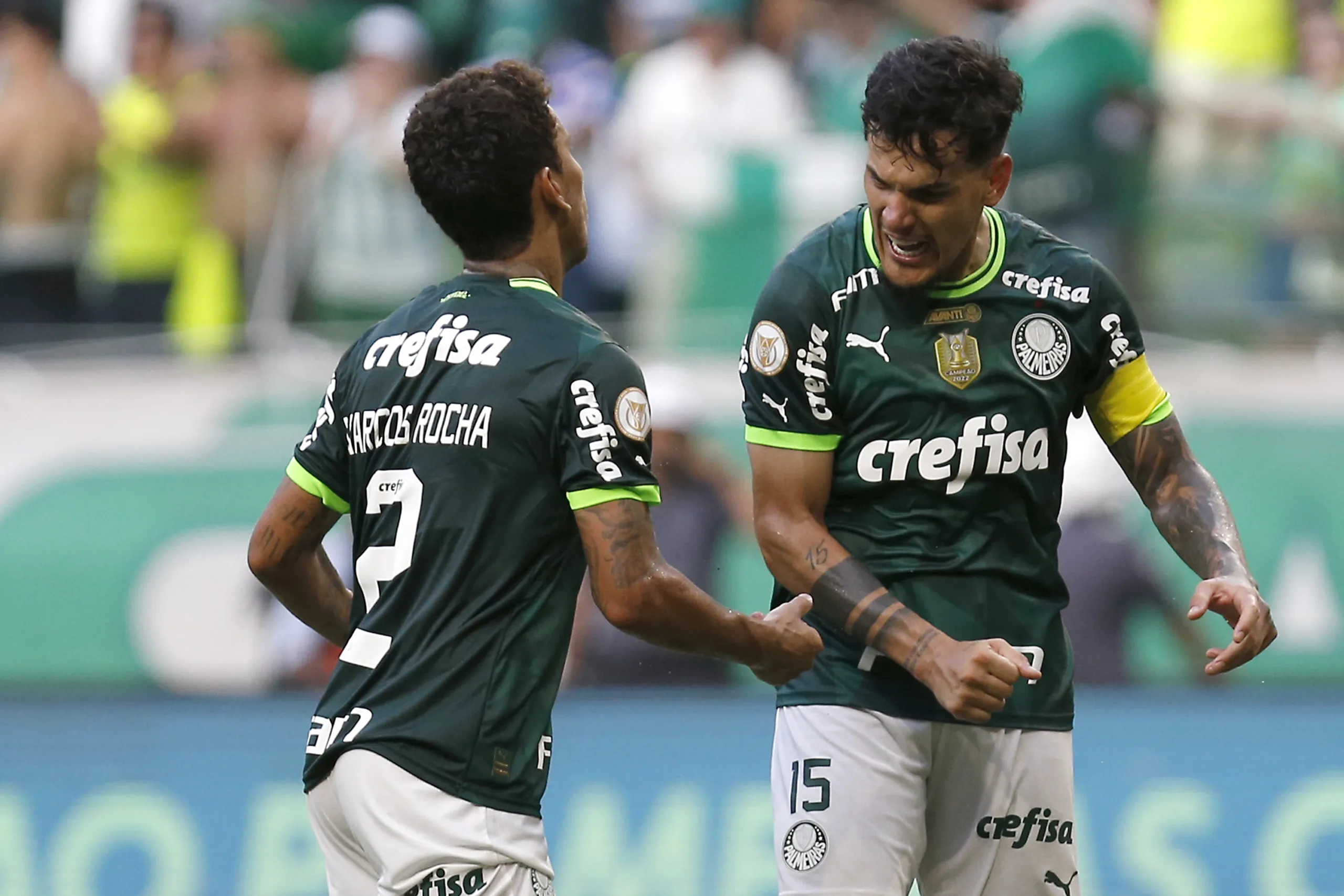 RMP nega arrancada do Palmeiras no Brasileirão e atribui liderança à ‘despencada do Botafogo”