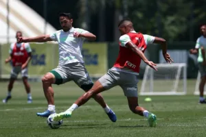 Palmeiras x Fluminense: perto de ser campeão no Brasileirão, time paulista tem três reforços
