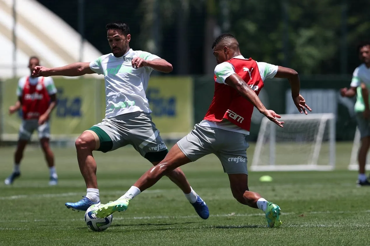 Palmeiras x Fluminense: perto de ser campeão no Brasileirão, time paulista tem três reforços