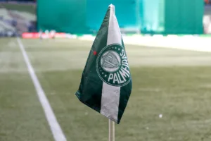 Luís Rosa dispara contra decisão do Palmeiras sobre o Allianz Parque: “Vexatória”