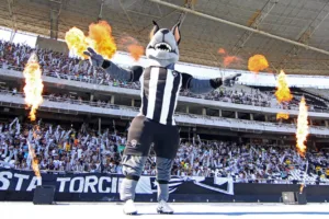 Brasileirão Série A, Libertadores e Copa do Brasil: onde assistir aos jogos do Botafogo em 2024