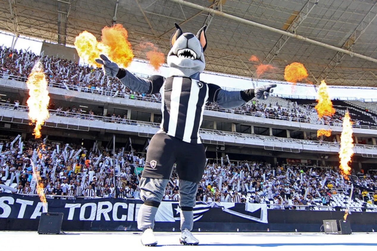 Brasileirão Série A, Libertadores e Copa do Brasil: onde assistir aos jogos do Botafogo em 2024