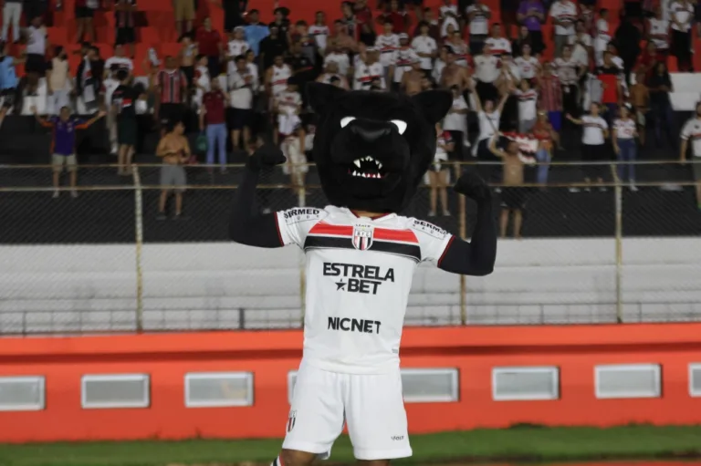 Botafogo-SP vence o Santo André e técnico exalta os torcedores: “Jogador número um”