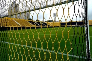 São Bernardo x Palmeiras é interrompido por queda de energia