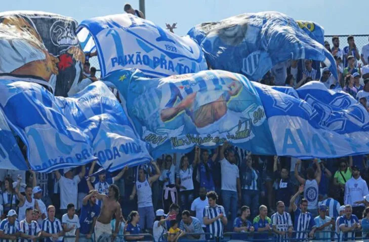 Em nota, Avaí repudia invasão de campo em jogo contra o Brusque; confira