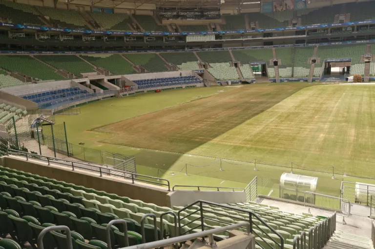 Veja imagens exclusivas do gramado do Allianz Parque após polêmica no Palmeiras