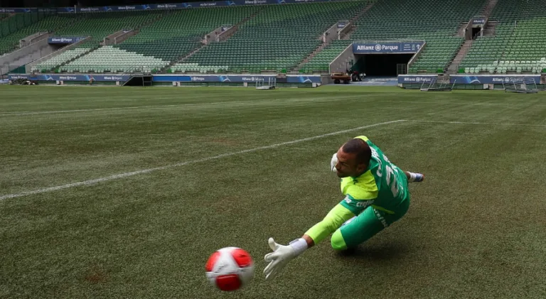 André Hernan antecipa ‘cor’ do gramado do Allianz Parque em jogo do Palmeiras