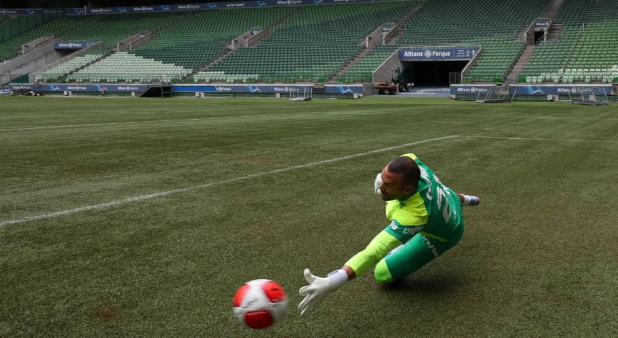 André Hernan antecipa ‘cor’ do gramado do Allianz Parque em jogo do Palmeiras