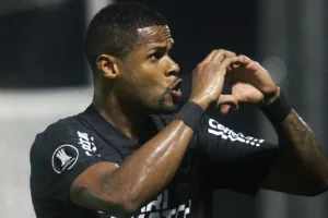Júnior Santos, do Botafogo, tem números expressivos na Libertadores; confira