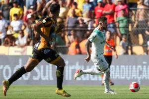 Palmeiras x Novorizontino: onde assistir à semifinal do Paulistão