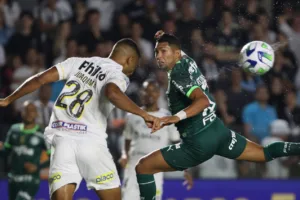 Sormani diz que Santos não pode comemorar eventual título do Brasileirão Série B