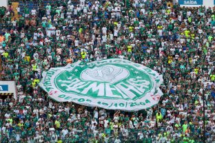 Torcedores do Palmeiras - (Fabio Menotti/Palmeiras)