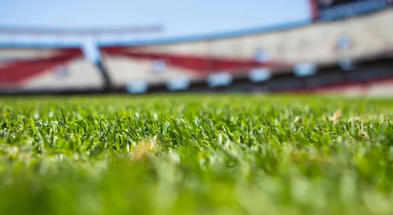 Brasileirão Série D: veja a agenda dos times catarinenses no torneio