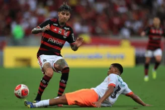 Erick Pulgar, do Flamengo