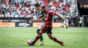 Especialista em gestão de clubes aponta a diferença entre Flamengo e Palmeiras