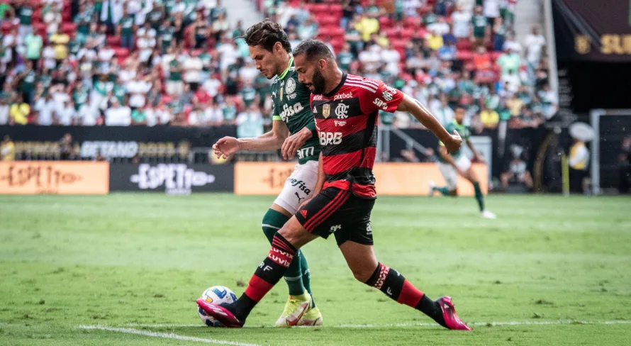 Especialista em gestão de clubes aponta a diferença entre Flamengo e Palmeiras