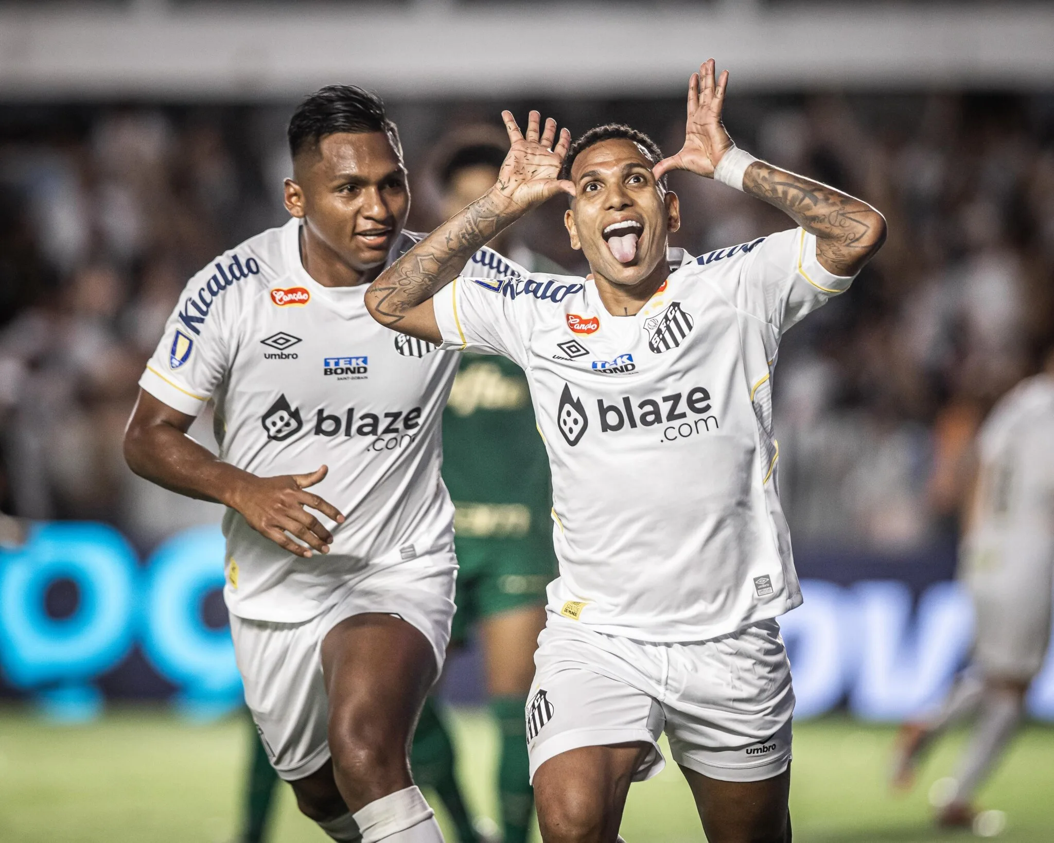 Levantamento aponta nove cidades paulistas onde o Santos é mais popular do que o Palmeiras