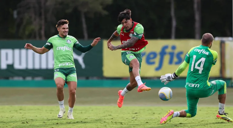 Danilo Lavieri elege titular que precisa ser reserva no Palmeiras