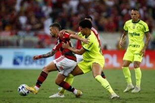 Palmeiras e Flamengo