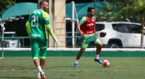 Luan projeta recuperação do Palmeiras contra o Santos