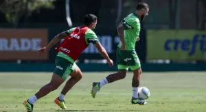 Palmeiras pode ter volta de Zé Rafael em jogo da Copa do Brasil