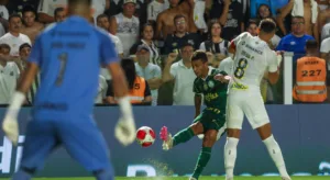 Piperno aponta jogadores titulares do Palmeiras que não renderam na final